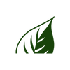 Terrapura